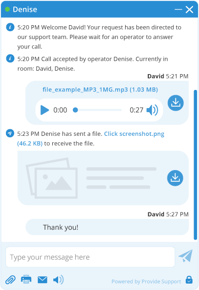 Media files preview in live chat window